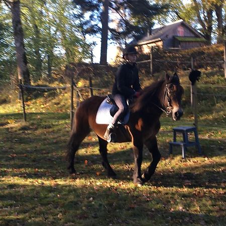 Henneviken Bnb Ed 外观 照片