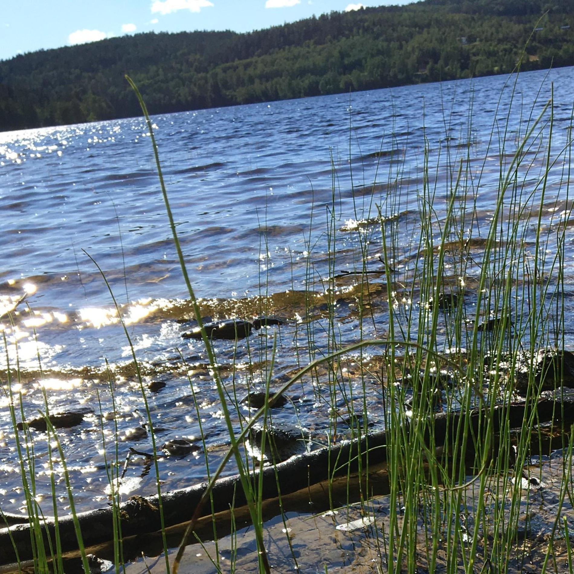 Henneviken Bnb Ed 外观 照片