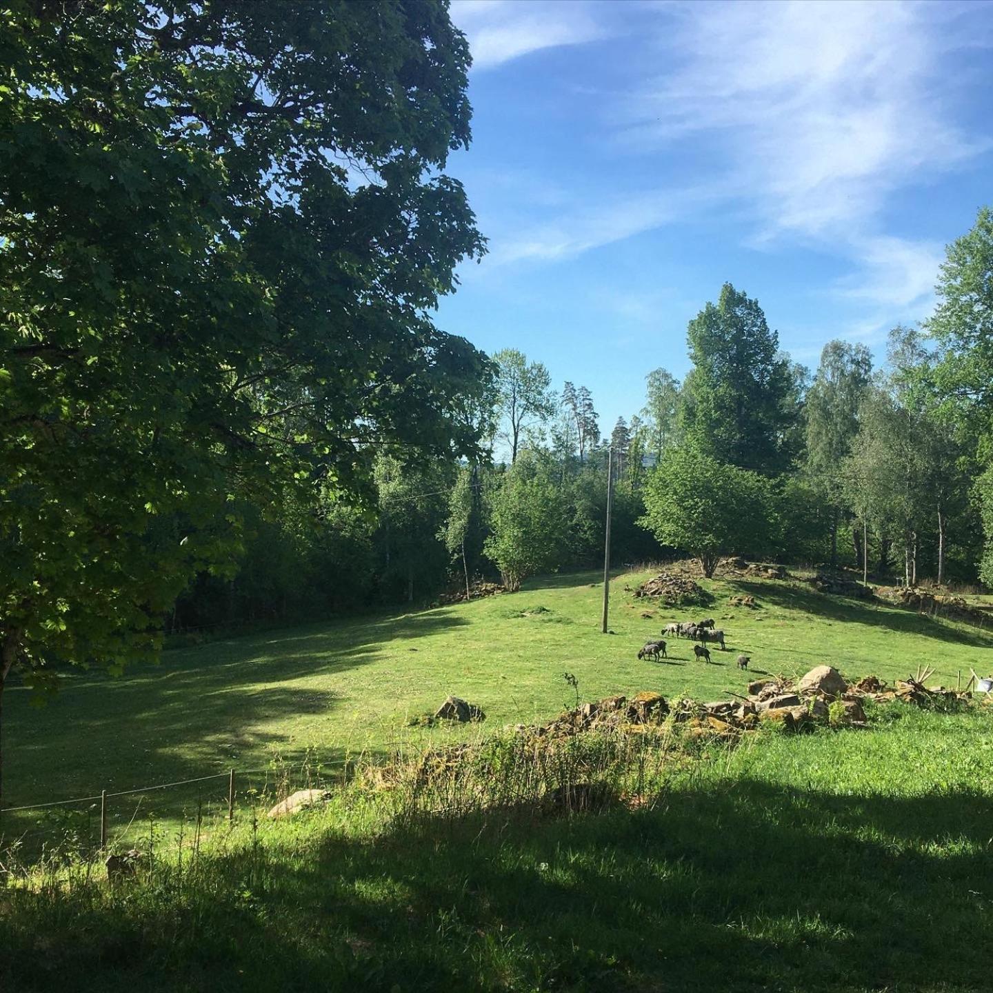 Henneviken Bnb Ed 外观 照片