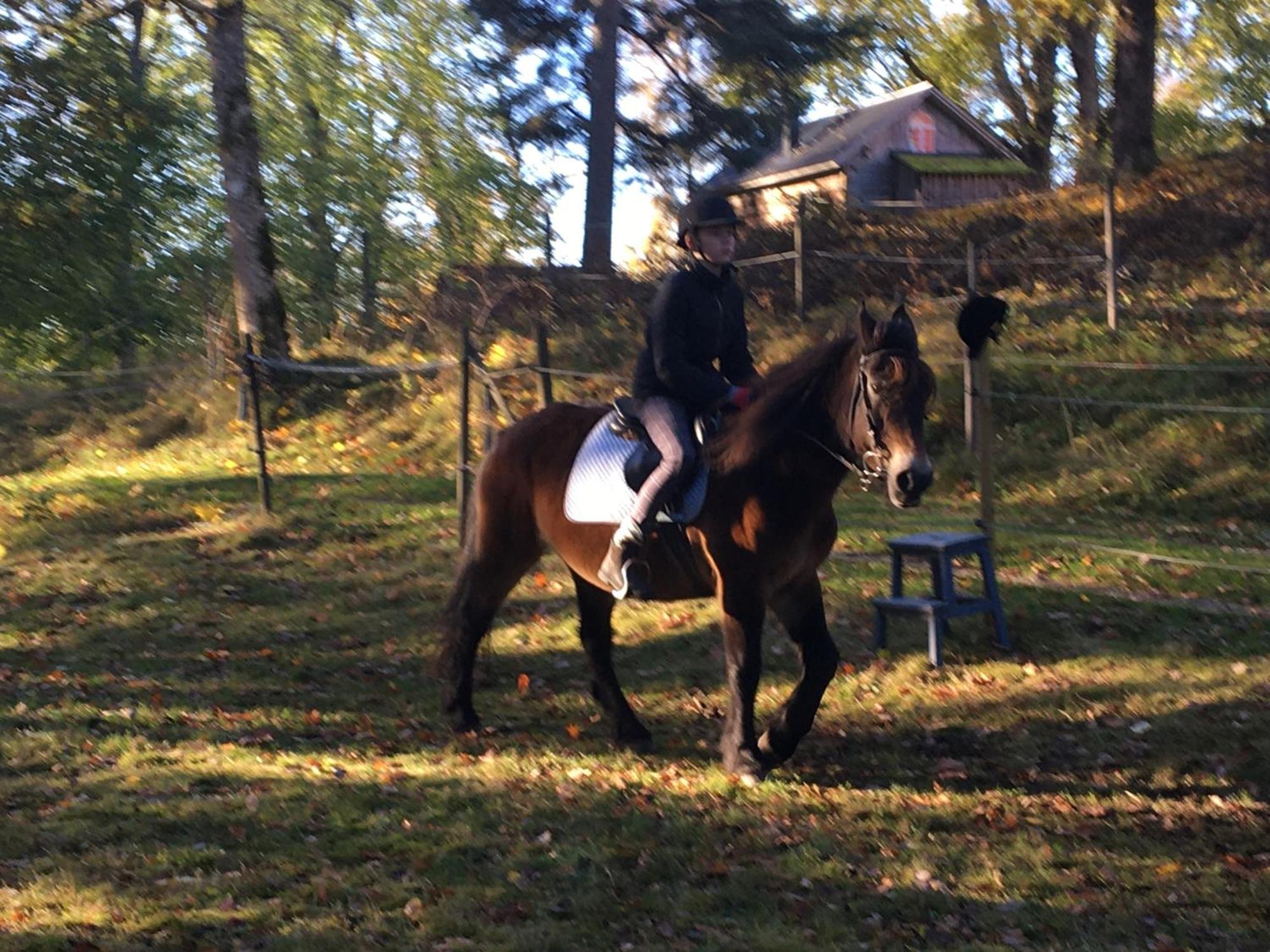 Henneviken Bnb Ed 外观 照片